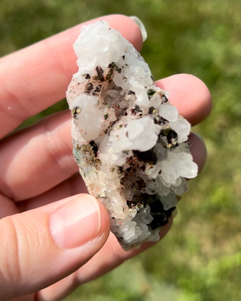 Quartz with Pyrite | B