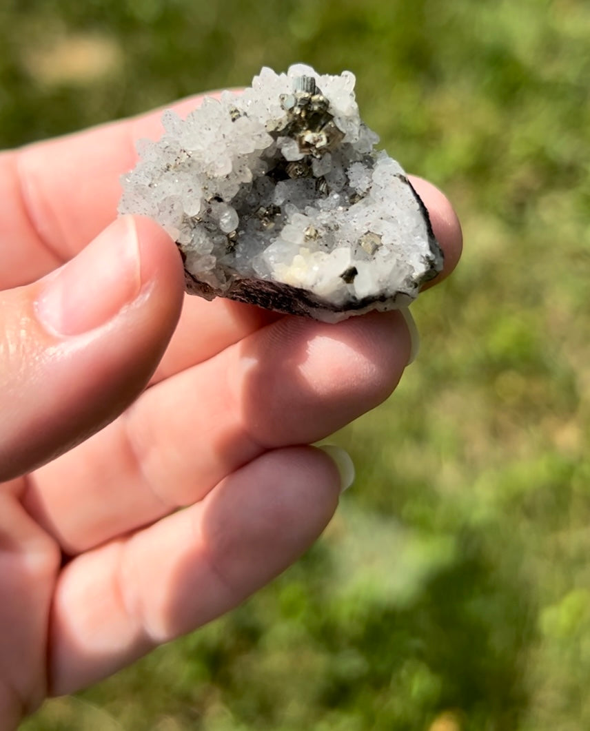 Quartz with Cubic Pyrite | A