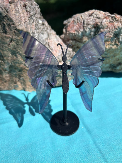 Fluorite Butterfly Wings | A