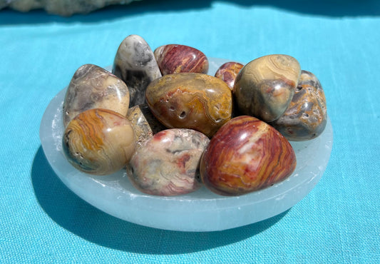 Crazy Lace Agate Tumble