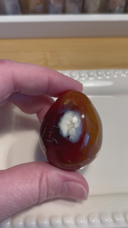 Carnelian with Orca Agate Egg