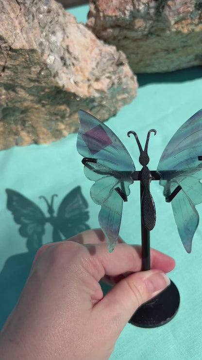 Fluorite Butterfly Wings | B